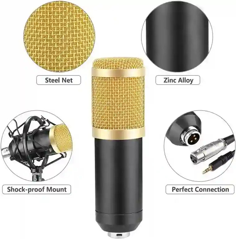 Black and gold microphone with detailed components on a white background