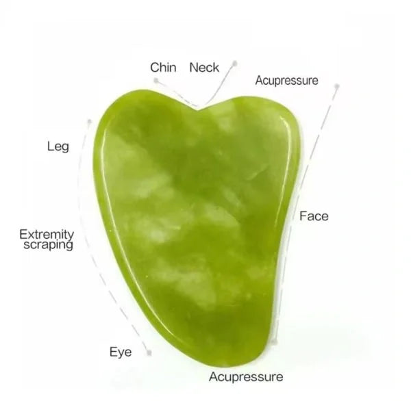 Green gua sha tool with labeled areas on a white background