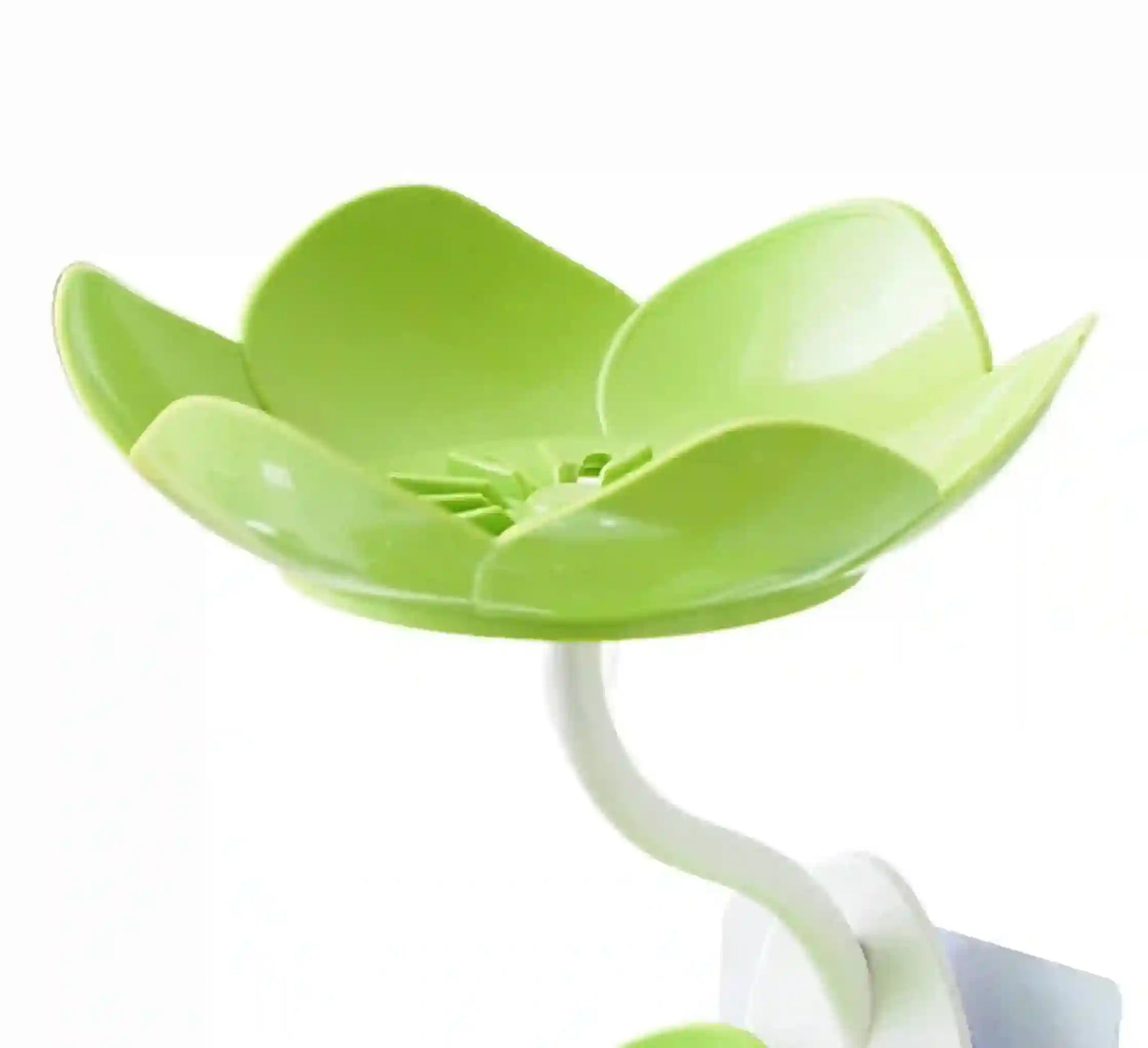 Green flower-shaped strainer on a white background