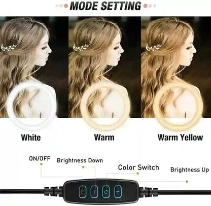 Mode setting diagram for a light source with three color options: White, Warm, and Warm Yellow.
