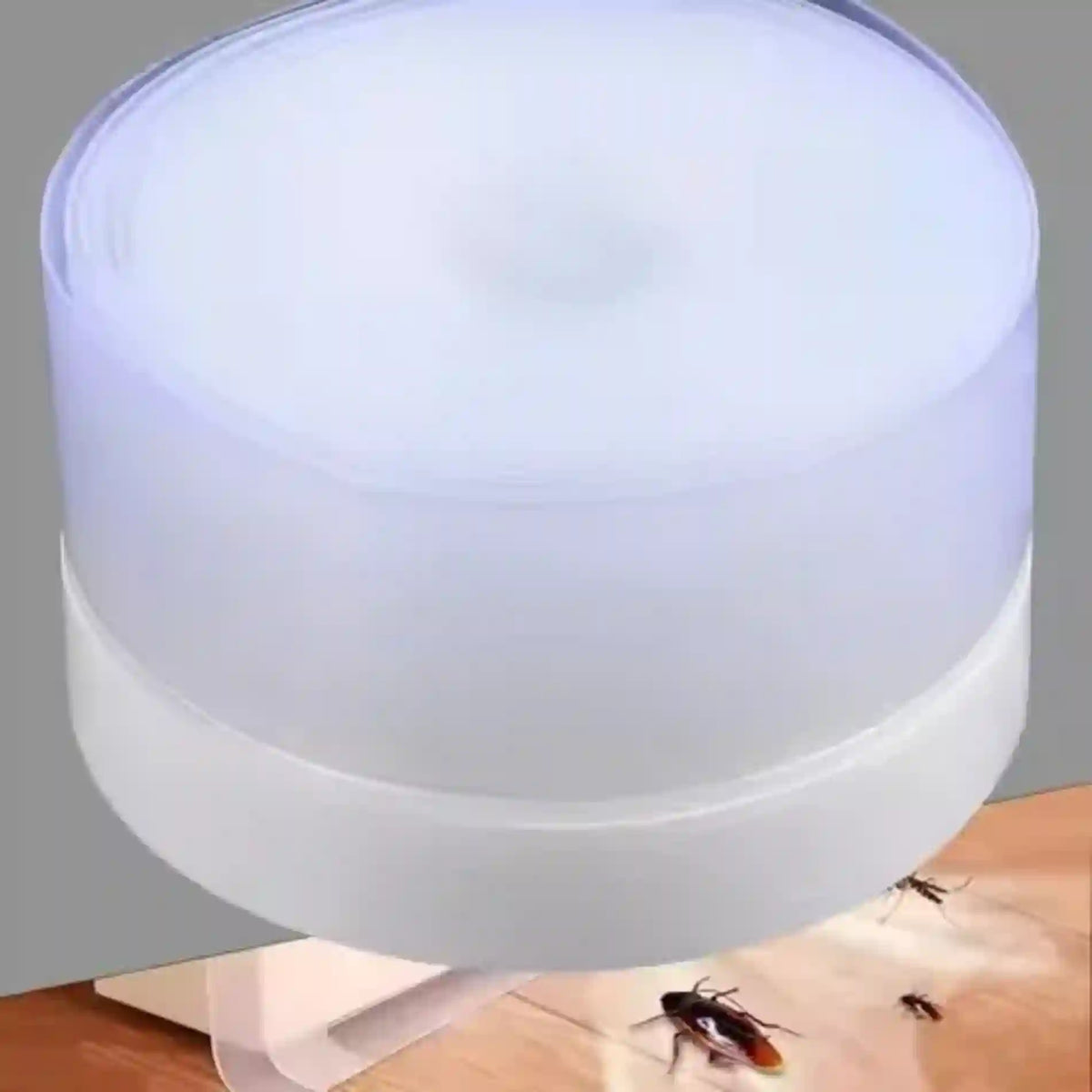 A cylindrical white and translucent insect trap device shown above a wooden surface with several insects trapped underneath.