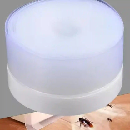 A cylindrical white and translucent insect trap device shown above a wooden surface with several insects trapped underneath.